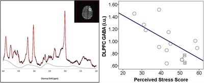 Perceived Stress, Cortical GABA, and Functional Connectivity Correlates: A Hypothesis-Generating Preliminary Study